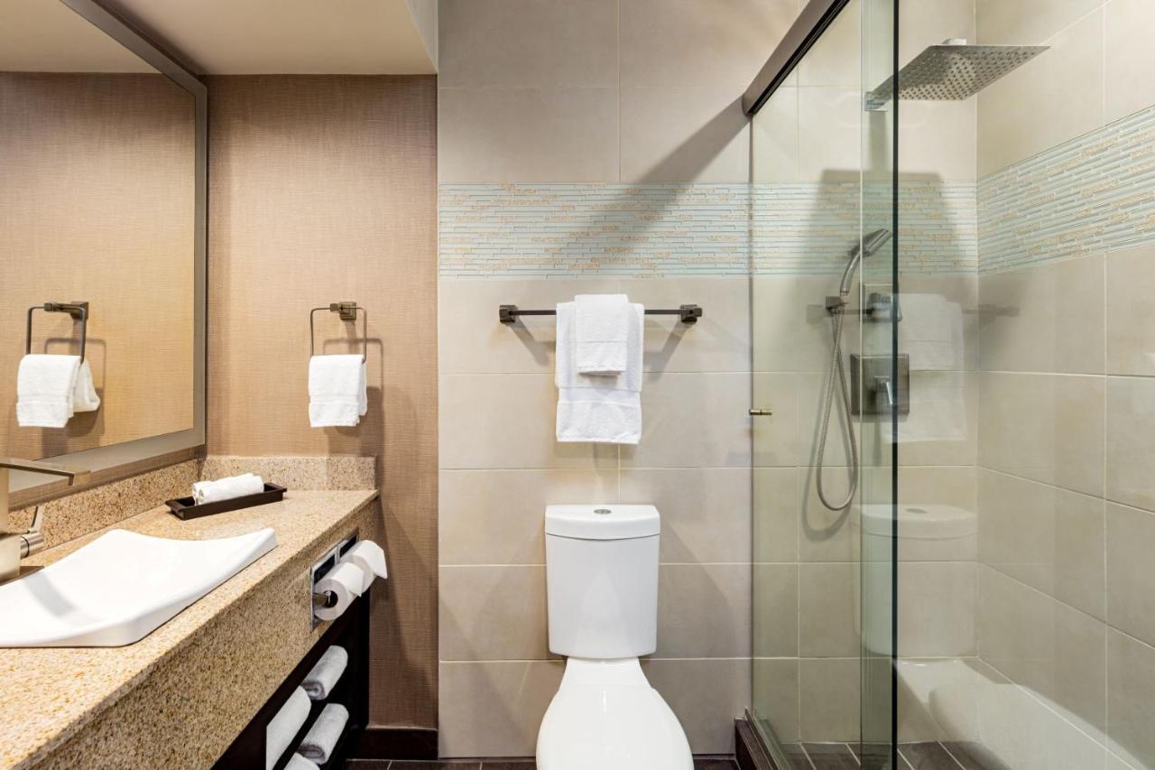 Executive King Suite,1113351744:JPEG