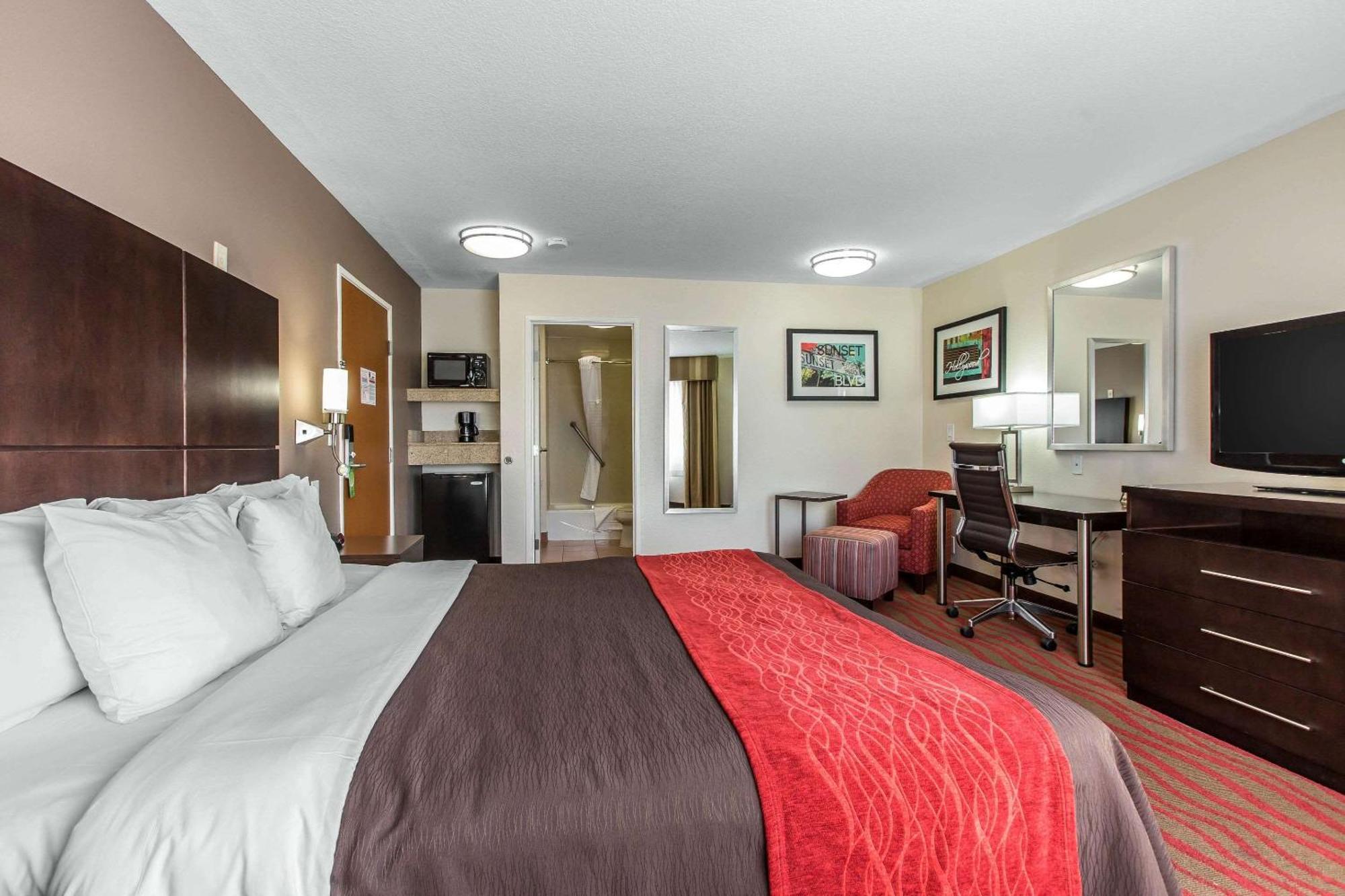 Standard Room 1 King Bed Non Smoking
