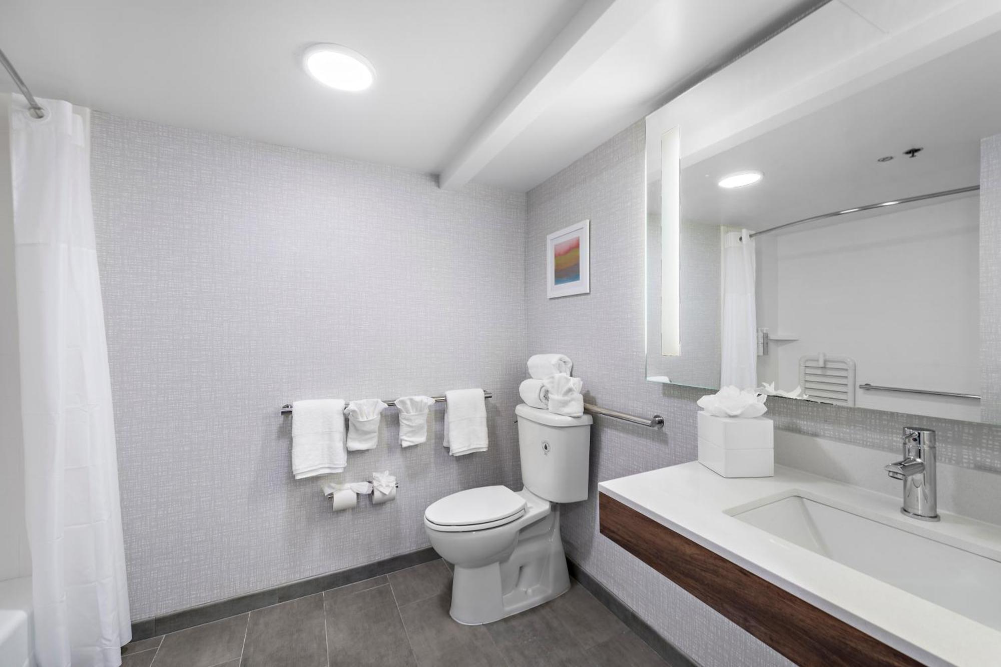 King Room Bath Tub Mobility Accessible