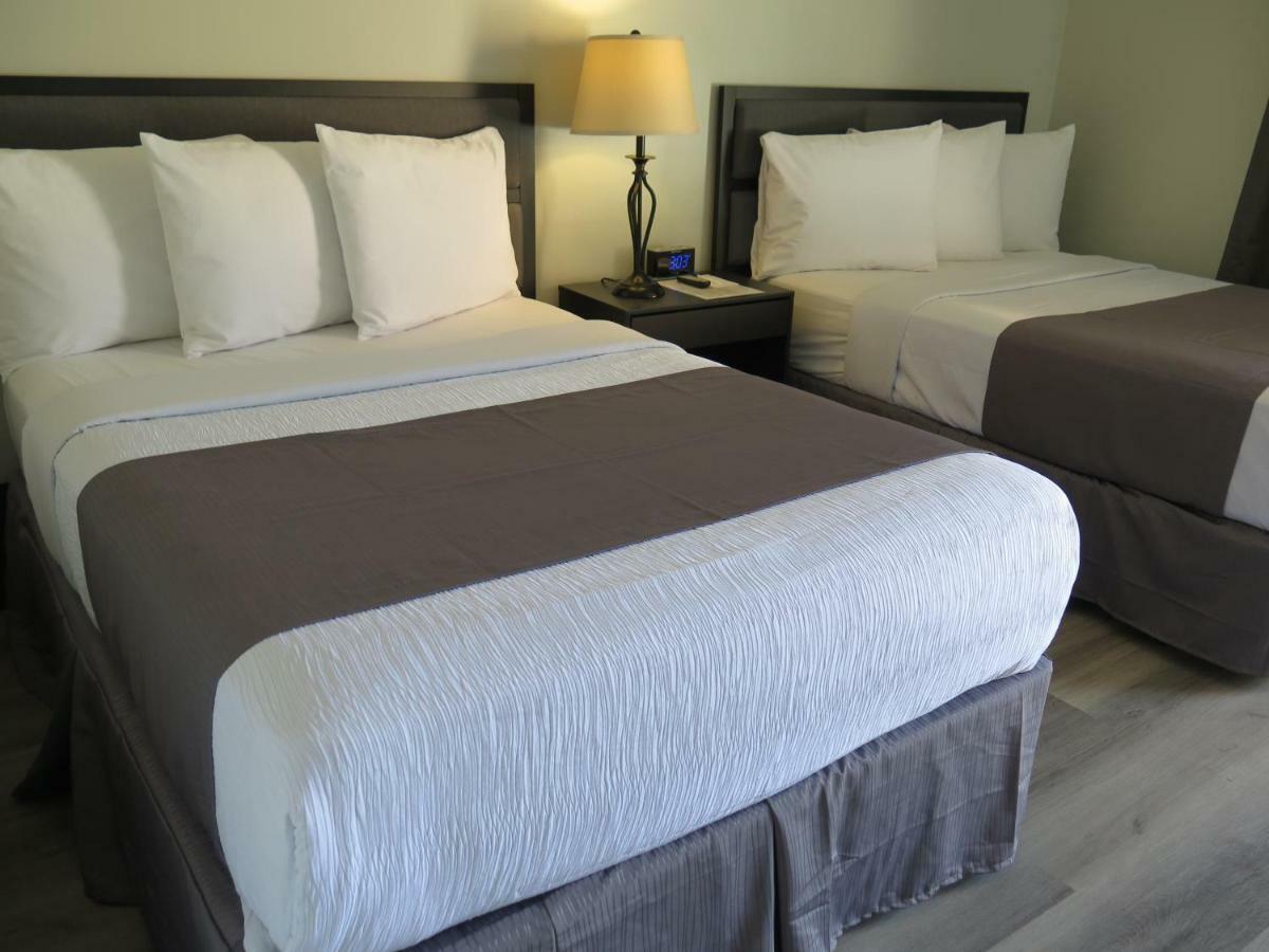 Deluxe 2 Double Beds Non-Smoking,894165856:JPEG