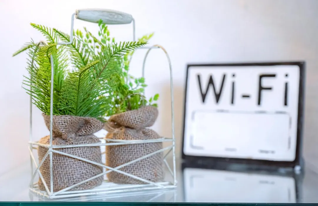 Cozy Home Management In Mdr-1