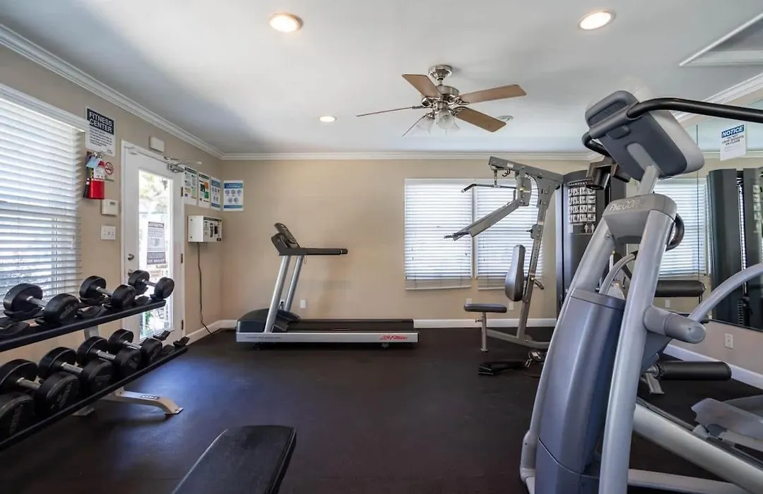 Cozy Cute Comfortable Spacious 1Bd 1Ba Full Apt-1