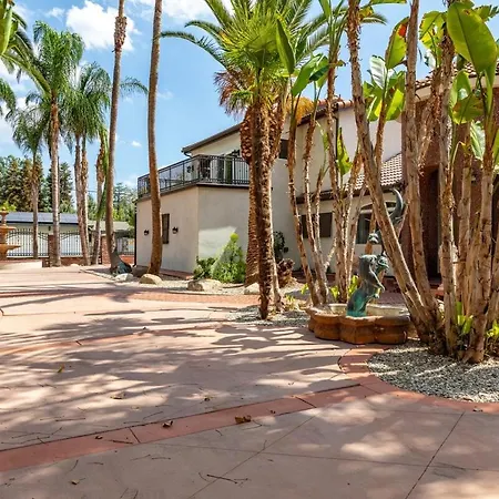 California Oasis-2