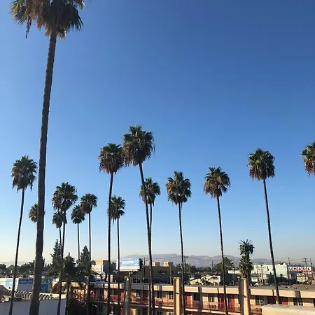 Palm Tree Inn-2