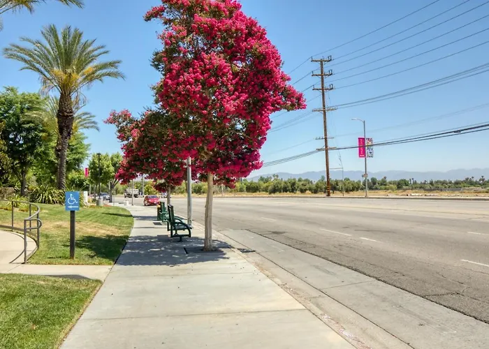 Woodland Hills Studio W Pool Nr Wfield Mall Lax-814 Apartamento Los Ángeles admite animales
