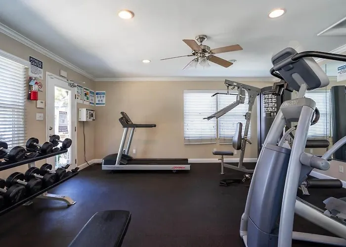 Appartamento Sun High-Speed Wifi 4K Tv Huge Living Area Los Angeles che accetta animali